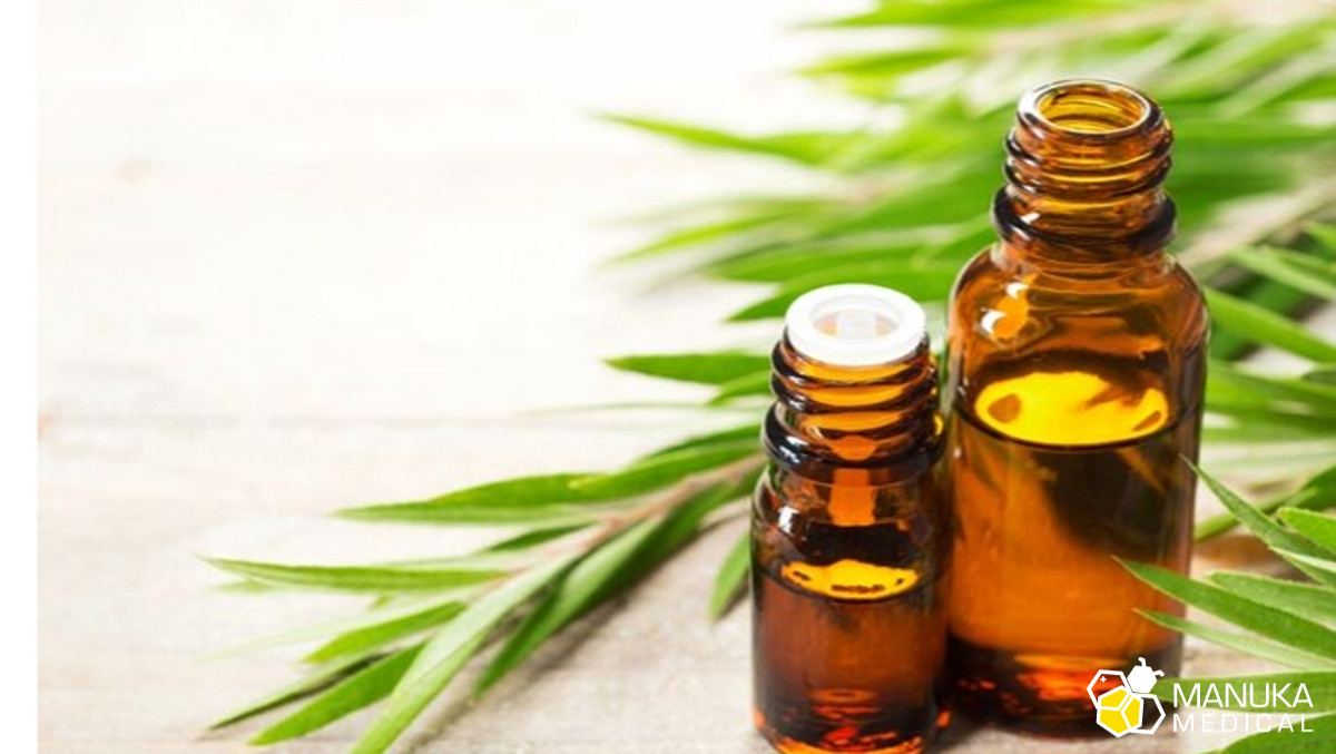 Olejek z drzewa herbacianego tea tree. Analiza badań.