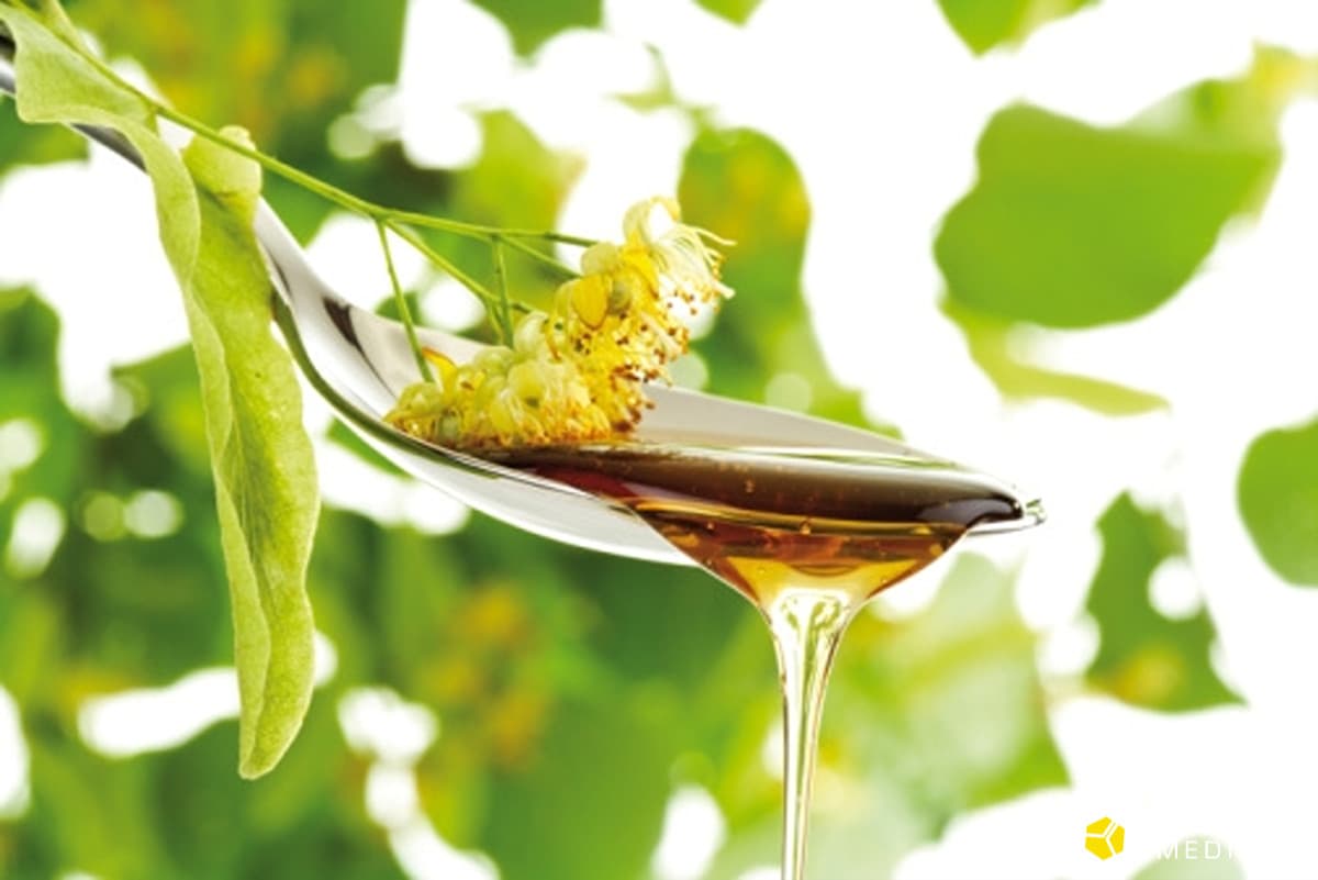 Miód lipowy. Jeden z najbardziej znanych rodzimych miodów.