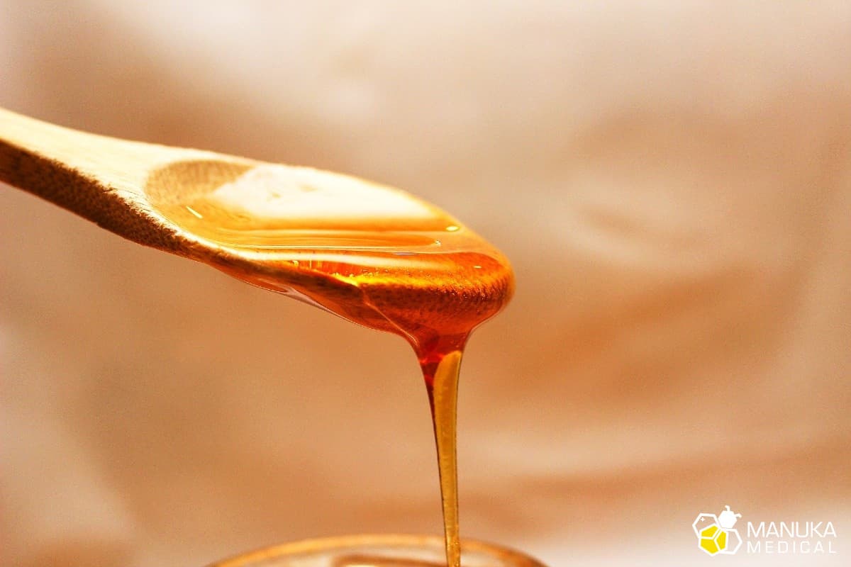 Miód pszczeli. Czym jest? Skąd się bierze? Historia i początki pszczelarstwa.