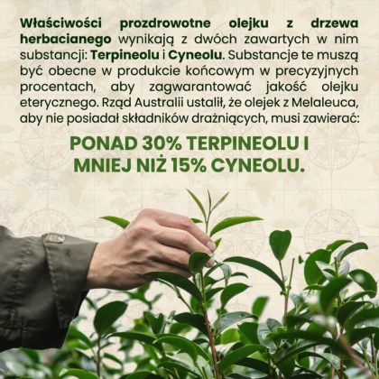australian_company_teatree_terpinol